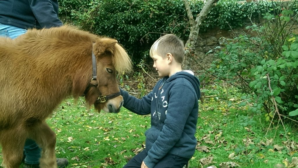 donate to festina lente